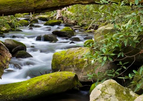 Tranquil Stream in the Smokies Stock Photos