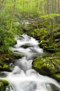 Tranquil Stream in the Smokies Stock Photos