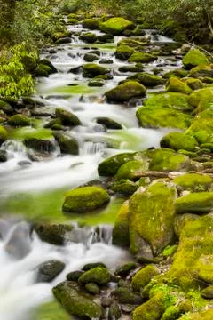 Tranquil Stream in the Smokies Stock Photos
