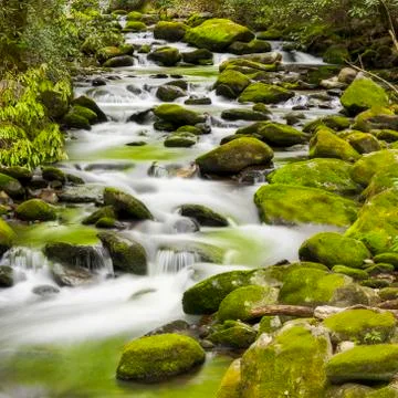 Tranquil Stream in the Smokies Stock Photos