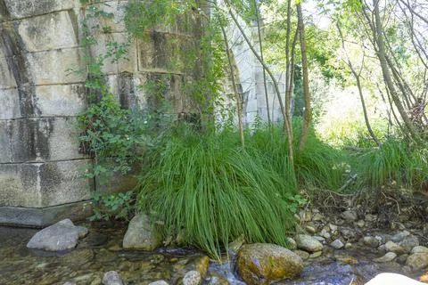 Tranquil Stream Under the Historic Puente del Perdn in Sierra de Madrid Stock Photos