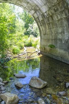 Tranquil Stream Under the Historic Puente del Perdn in Sierra de Madrid Stock Photos