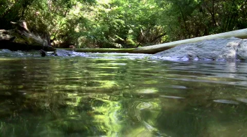 Tranquil stream V2 - HD  Stock-Footage 781456