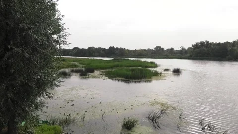 Tranquil summer day on a quiet river Video stock 106406773