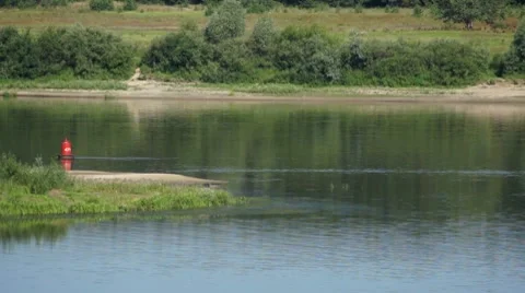 Tranquil summer landscape with river and forest Video stock 7905830