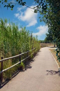 A tranquil summer path with a rustic wooden fence Foto stock