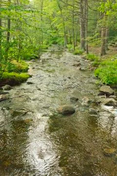 Tranquil Summer Stream Stock Photos