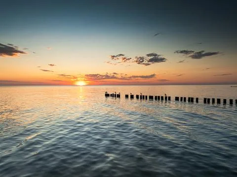 Tranquil summer sunset on Poland's Baltic coast with a seagull. Stock Photos
