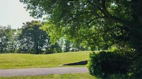 Tranquil summer walk along a leafy path in a botanical London park Stock Footage 309762639