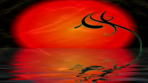 Tranquil sun 2 Video stock 346328