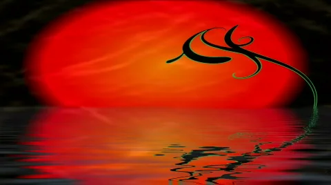 Tranquil sun Stock Footage 345950