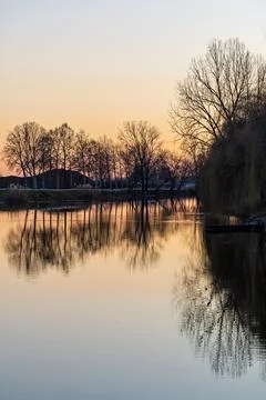Tranquil Sunset Bosut River Reflection With Bare Trees Silhouetted Against .. Stock Photos