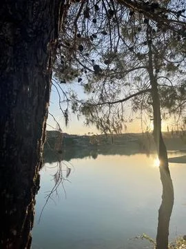 Tranquil Sunset by the Lake Foto stock