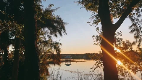 Tranquil Sunset Over a Calm Lake and Beautiful Trees Stock Footage 295530118