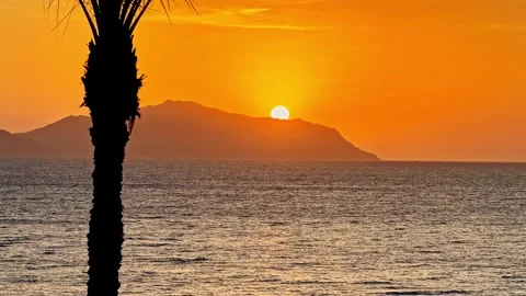 A tranquil sunset over the ocean with a palm silhouette Stockbeeldmateriaal 333325823