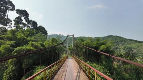 Tranquil suspension bridge in lush forest Stock Footage 277487393