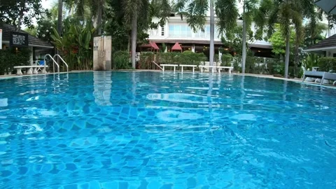 Tranquil Swimming Pool Surrounded by Lush Greenery Stock Footage 313918336
