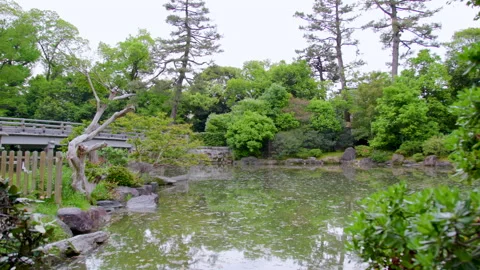 Tranquil Takakura Bridge Over Kujo Pond in Kyoto Gyoen Park - Kyoto, Japan Stock Footage 336821655