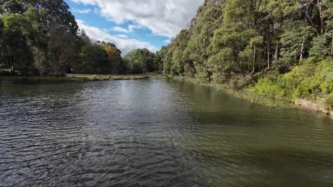 Tranquil Terminus: A Lakeside Finale of the Puffing Billy Journey Video stock 276544174