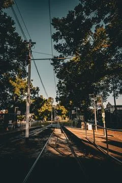 Tranquil Tram Station Surrounded by Trees Stock Photos