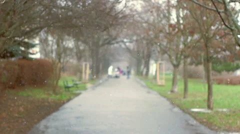 Tranquil Tree Alley During First Snow Stock Footage 59904505