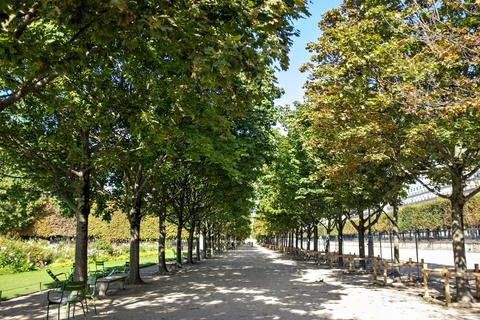 Tranquil tree-lined pathway in a Paris garden with sunlight. 스톡 사진