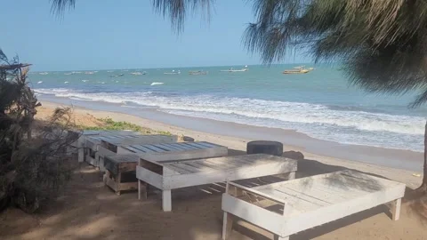 Tranquil tropical beach with empty wooden sunbeds, Gambia Stock Footage 345732577