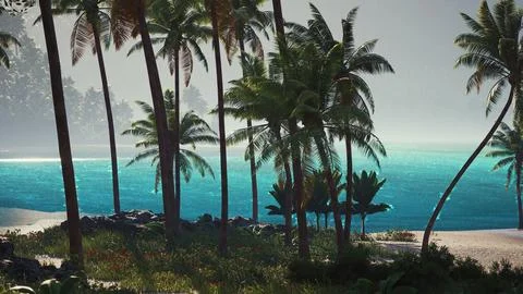 Tranquil tropical beach with palm trees and azure waters at sunrise Stock Illustration