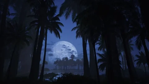 Tranquil Tropical Dusk Stock Footage 321599780