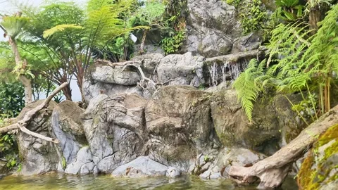 Tranquil Tropical Waterfall Pool with Natural Rock Landscape for Family Weekend Stock Footage 334100633