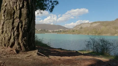Tranquil Turquoise Lake with Tree and Mountain View in Molise, Italy Vidéo 332429525