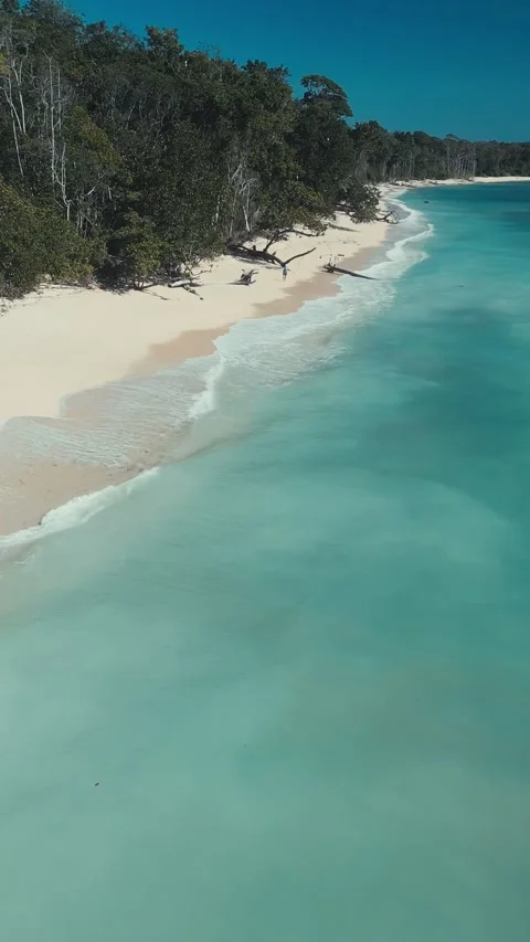 Tranquil turquoise shoreline featuring driftwood and gentle surf 库存影片 336928399