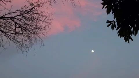 A  tranquil twilight scene with a bright moon in a blue sky Stockbeeldmateriaal 318968988