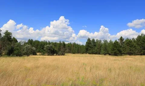 Tranquil Ukrainian landscape with expansive fields and blue sky Stock Photos