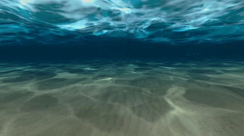 Tranquil underwater scene with fish Stock Footage 42342892