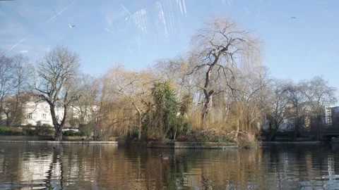 Tranquil Urban Lake with Bare Trees Reflected in Water on a Clear Winter Day Stockbeeldmateriaal 336944281