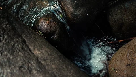 Tranquil Valley Stream with Flowing River 4K Real Shot Stock Footage 319877935