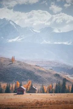 In a tranquil valley, two rustic cabins stand surrounded by vibrant autumn trees Stock Photos