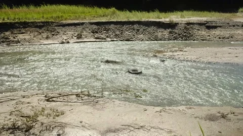 A tranquil video shows a tire floating on a muddy river, exploring nature Stock Footage 313936129