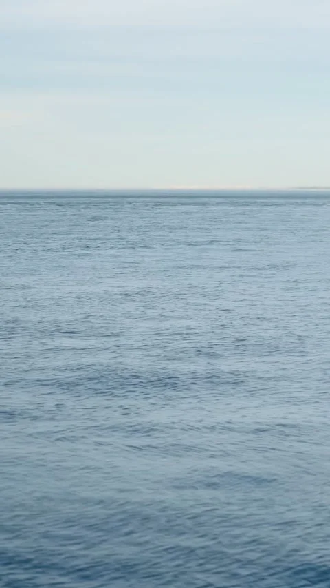 Tranquil view of the open ocean, highlighting the serene and unbounded natu.. Stock Footage 274388704