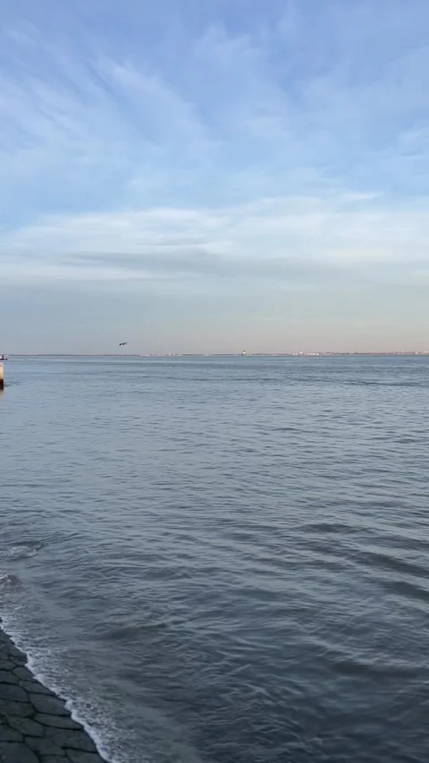 Tranquil view of the open ocean, highlighting the serene and unbounded natu.. Stock Footage 274388714