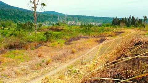 A tranquil view of a rural landscape Stock-Footage 288550373