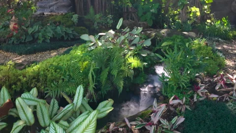 A tranquil view of the serene waterfall Stock Footage 309329456