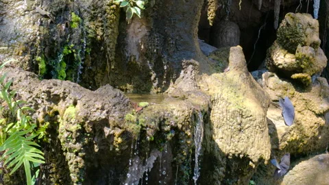 A tranquil view of the serene waterfall Vidéo 309330353