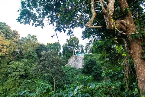 Tranquil view of sky and trees in Rangamati hills Stock Photos