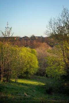 Tranquil View  of Spring Trees at Sunset From a Hillside in Queens Park with Stock Photos