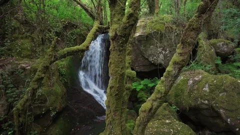 Tranquil View Of A Stream Rushing Over Mossy Rocks 库存影片 336795689