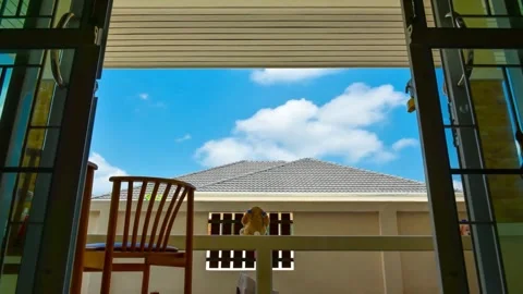 Tranquil View Through Open Doors: Blue Sky, Clouds, and House Roof Stock Footage 310419504