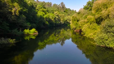Tranquil View Of Ulla River Near Vedra. Aerial Zoom In Shot Stock Footage 318651664