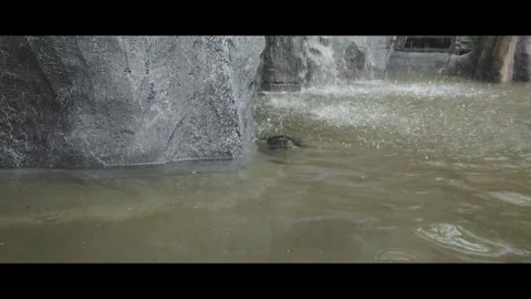 Tranquil View of a Waterfall and Rock Pond in a Natural Setting Video stock 311268250